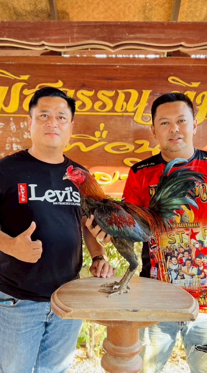 คุ้มเจ้าสำราญ พม่ายอดไอคิว