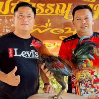 คุ้มเจ้าสำราญ พม่ายอดไอคิว