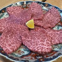 いちぼんのきのこ大きい
