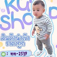 ปลาบอลลูนKUNSHOP-N