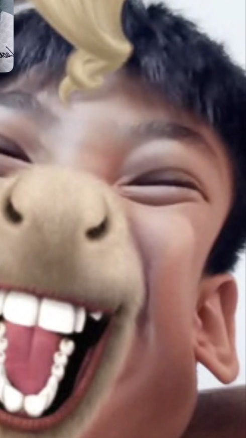 不准邀胡、高、溫、