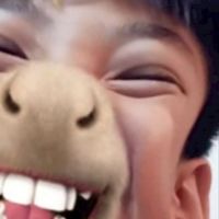 不准邀胡、高、溫、