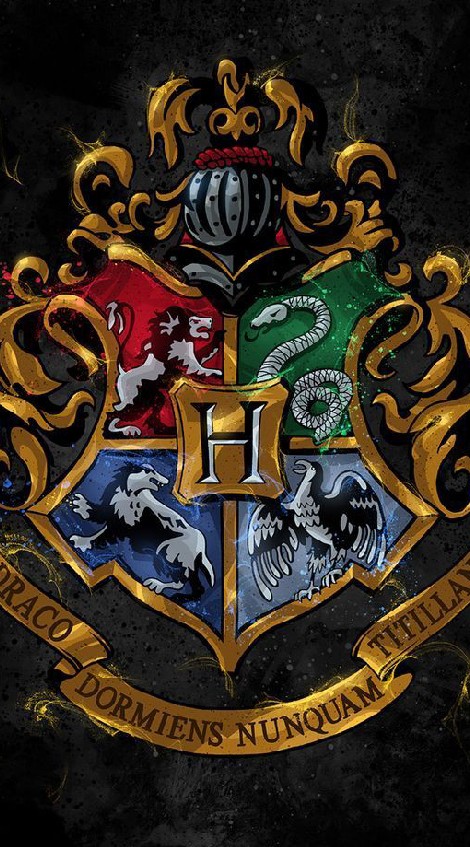🧪HOGWARTS⚗️