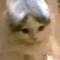คนเล่นฟีฟายย 🔥💢😾