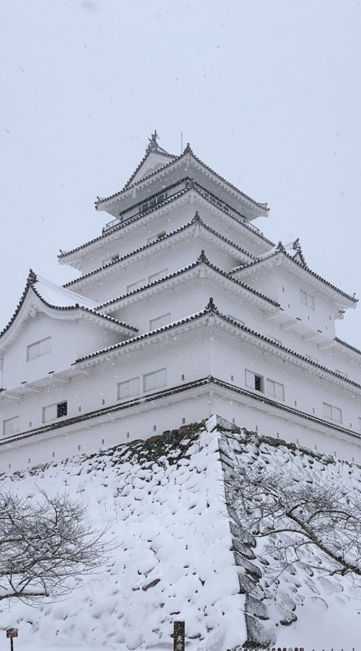出國團：日本東北團vs親子童享