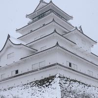出國團：日本東北團vs親子童享
