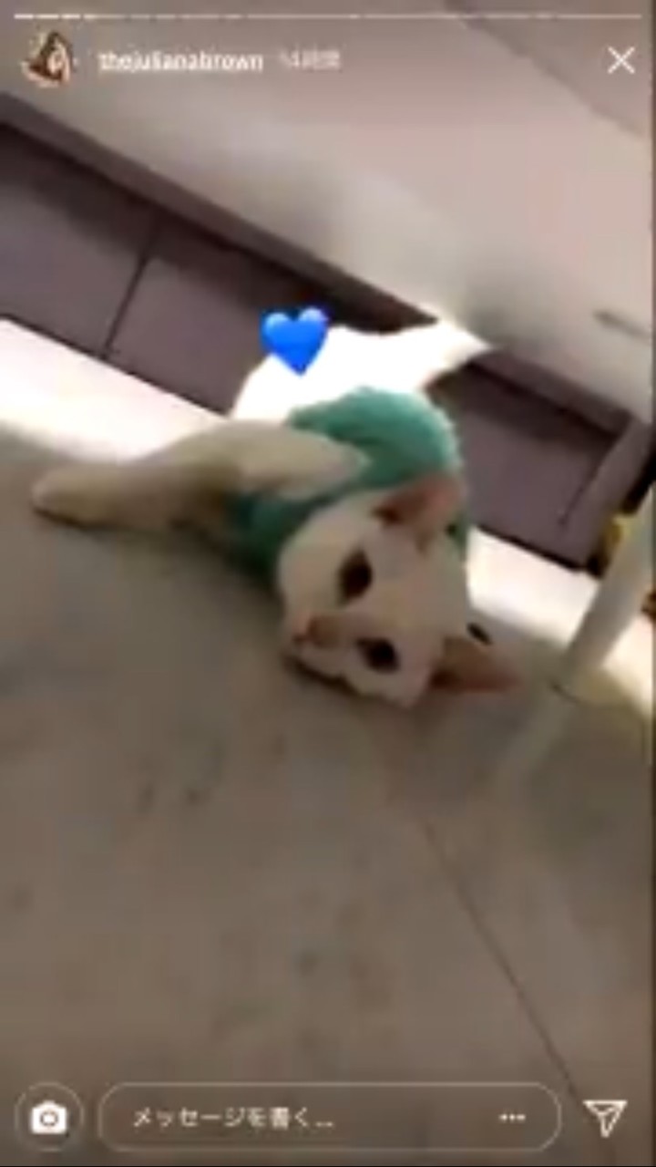 ジュリアナブラウン
