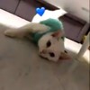 ジュリアナブラウン