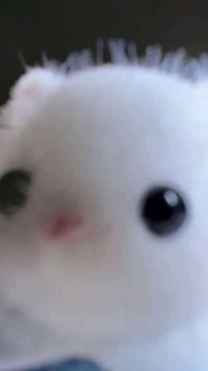 絵下手な人おいでーもちろん上手い人もカモン！雑談○