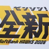 鷹党集まれ！