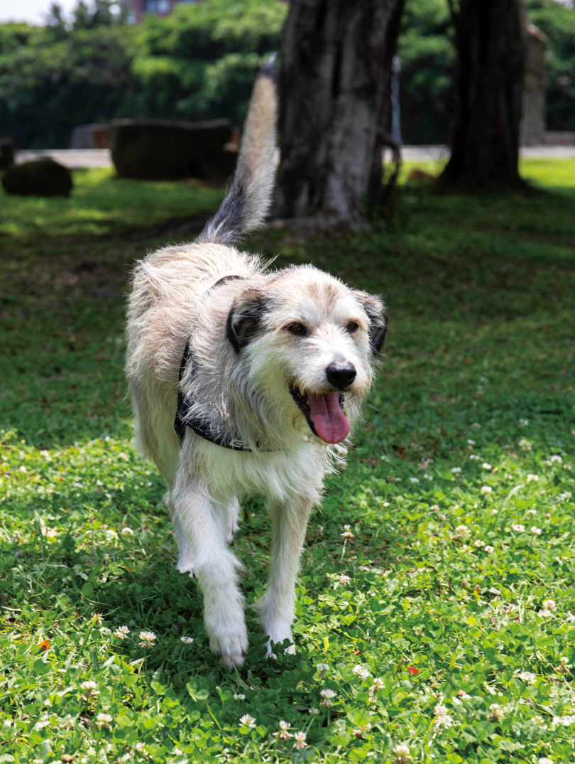 波波曾因挑食造成腸胃問題，讓大霈費盡心思照顧，如今牠已是健康寶寶。（圖／林勝發攝）