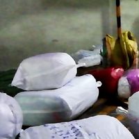ติดตามสินค้าพัสดุวันต่อวัน
