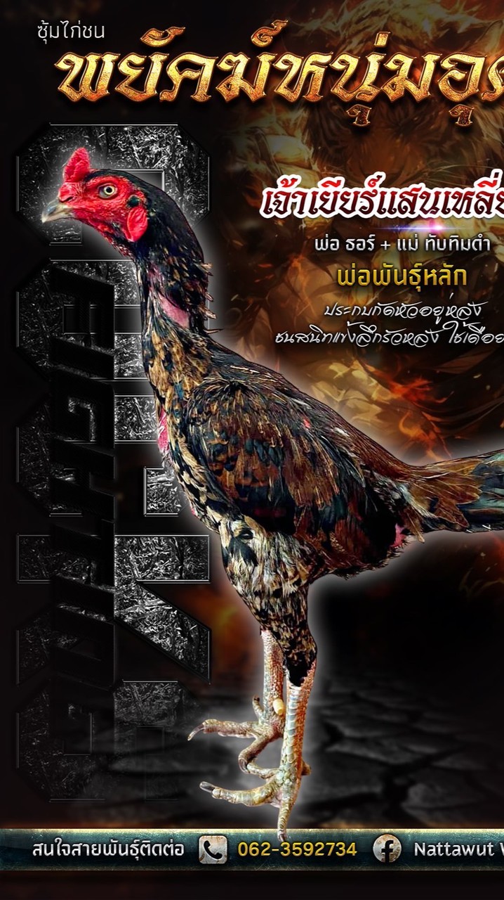 พยัคฆ์หนุ่มอุดรฟาร์ม🥁🥁🥁