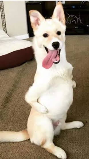 พี่เทคของน้องกร