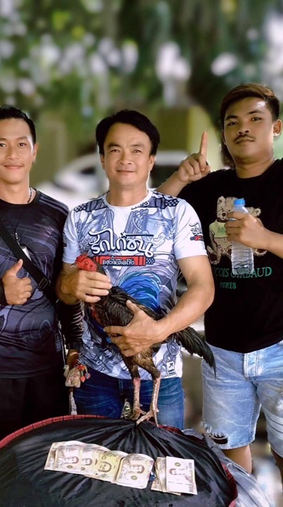 หนุ่มโรงฟางไก่ชน