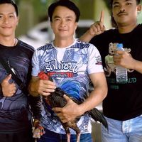 หนุ่มโรงฟางไก่ชน