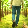 Ruach Revival Wellness 風中甦醒