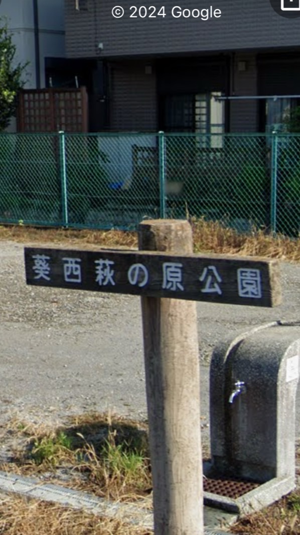 葵西11部19組