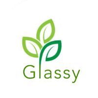 Glassy