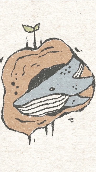 52號樹洞