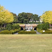 益城町（熊本）で盛り上がろう