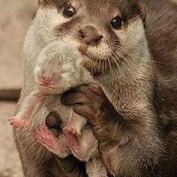大家都是GAY🌈