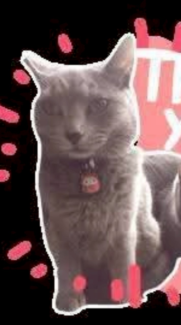 花現喵伴手禮