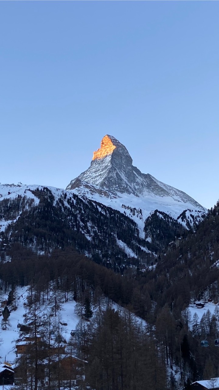 懶惰鬼的代購中心（瑞士🇨🇭、日、韓、新加坡、馬來西亞、菲律賓皆可代購