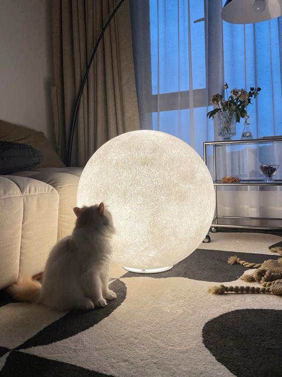 落地氛圍燈 臺燈臥室ins少女網紅月球燈氛圍燈創意溫馨浪漫星球燈客廳落地燈【全館8折+振興再享5%回饋】 可開發票 保固一年 抗漲省荷包