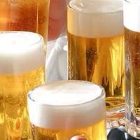 40歳からのおとな共和国　みんなで横浜で飲もう！