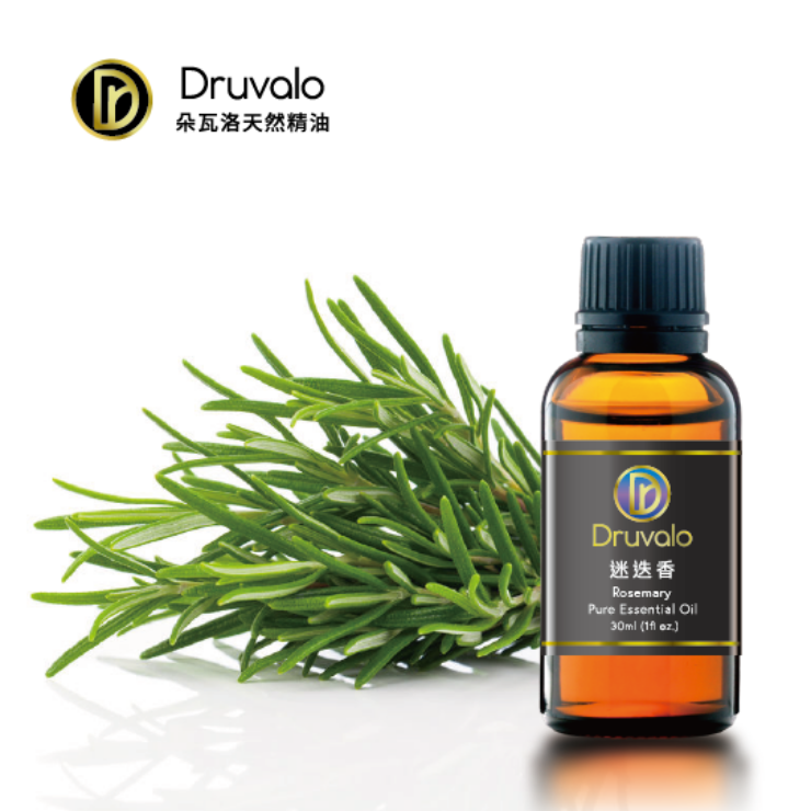 西班牙迷迭香 英文 : Rosemary CT Camphor 學名 : Rosmarinus officinalis 產地：西班牙 提取方式：蒸餾 在莎士比亞名劇中曾寫著：「迷迭香是為了幫助回憶，親