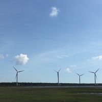靈蛇（48）