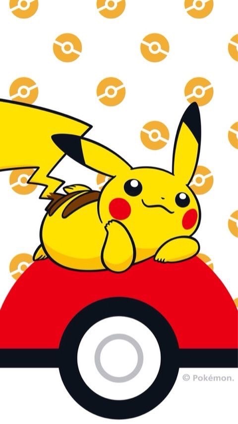 岡山 ポケカ ワンピカ QR 仲良く！