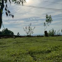 丹林棚集山-天際驛站