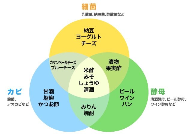 じつは腐敗と紙一重 微生物の働きで生み出される発酵食品はここがスゴイ