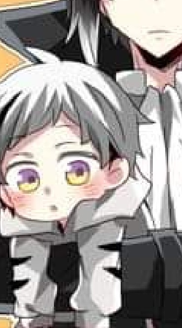 ‼มหาวิทยาลัย_bungou stray dogs โรล‼