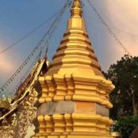 นาเบี้ย
