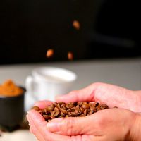 大大咖啡豆烘焙坊