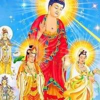 壽康寶鑑