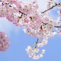 恋のお悩み相談室☆