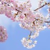 恋のお悩み相談室☆