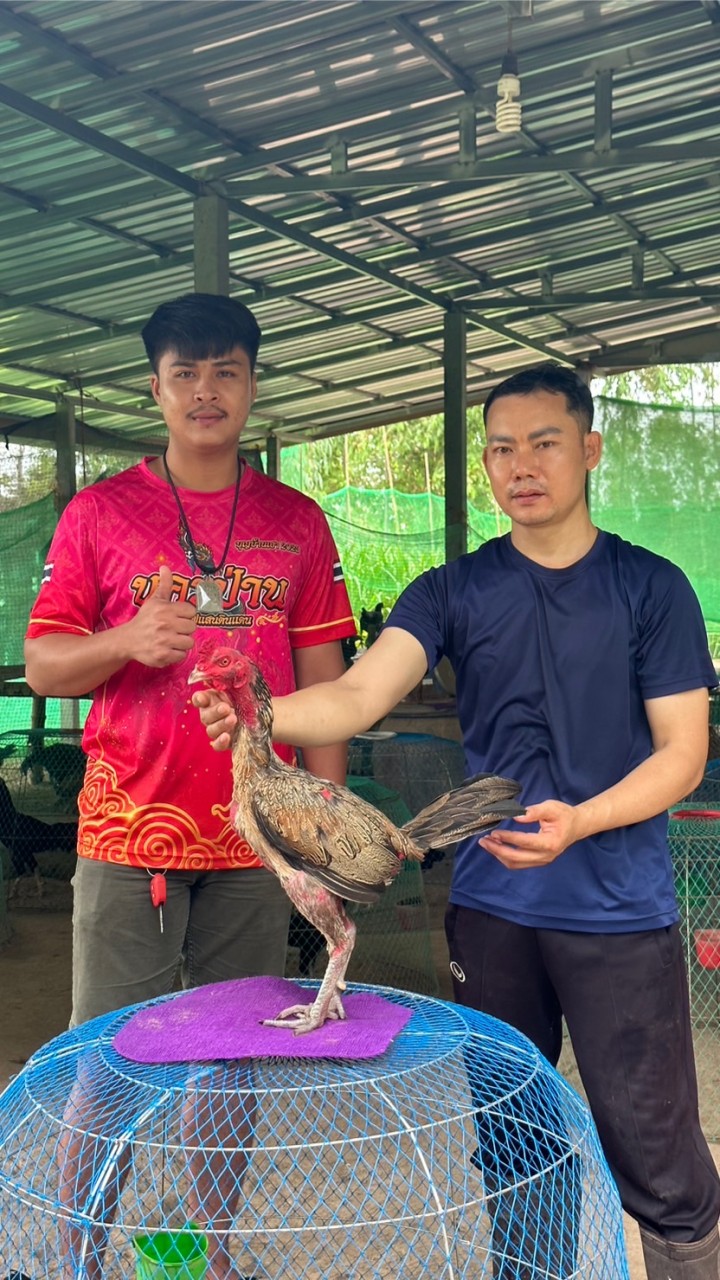 ซ.สิริภักดี 🐓