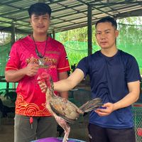 ซ.สิริภักดี 🐓