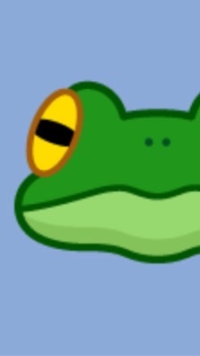 かえる王国