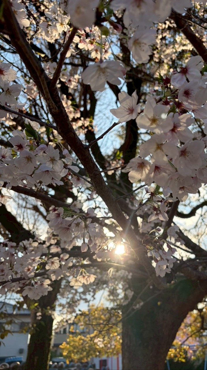 悩みがある方や、恋愛相談とかがしたい方ぜひ話しませんか？