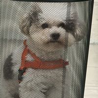 啾咖桌遊館