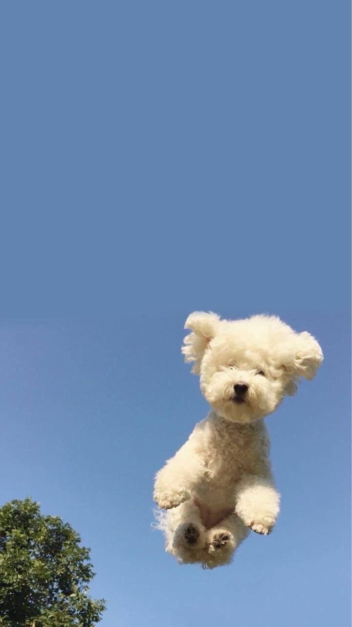 中興國中910家長群