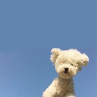 中興國中910家長群