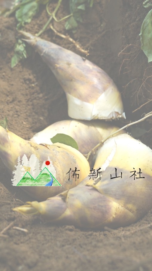 佈新山社 五寮竹筍及在地活動推廣