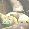 佈新山社 五寮竹筍及在地活動推廣